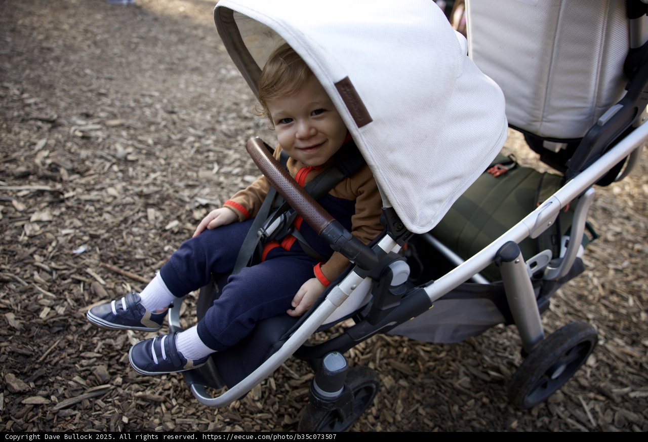Joyful Stroll at Thistlewyck
