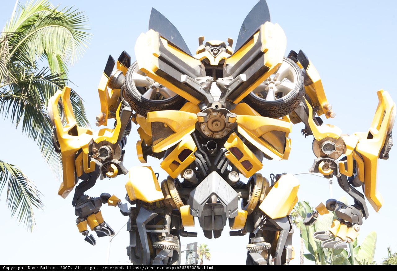 Bumblebee Robot in the Great Outdoors
