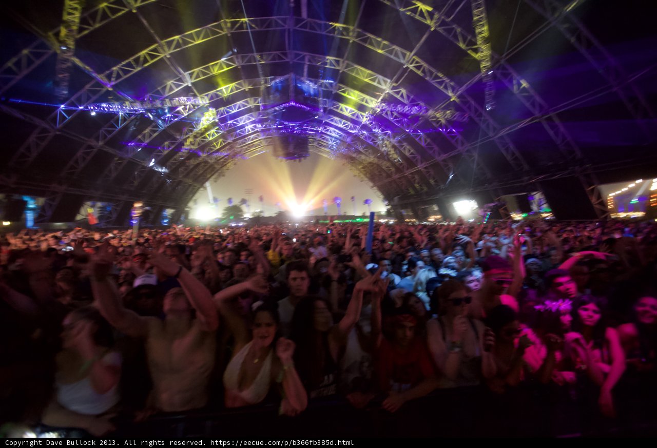 Electric Crowd at Coachella