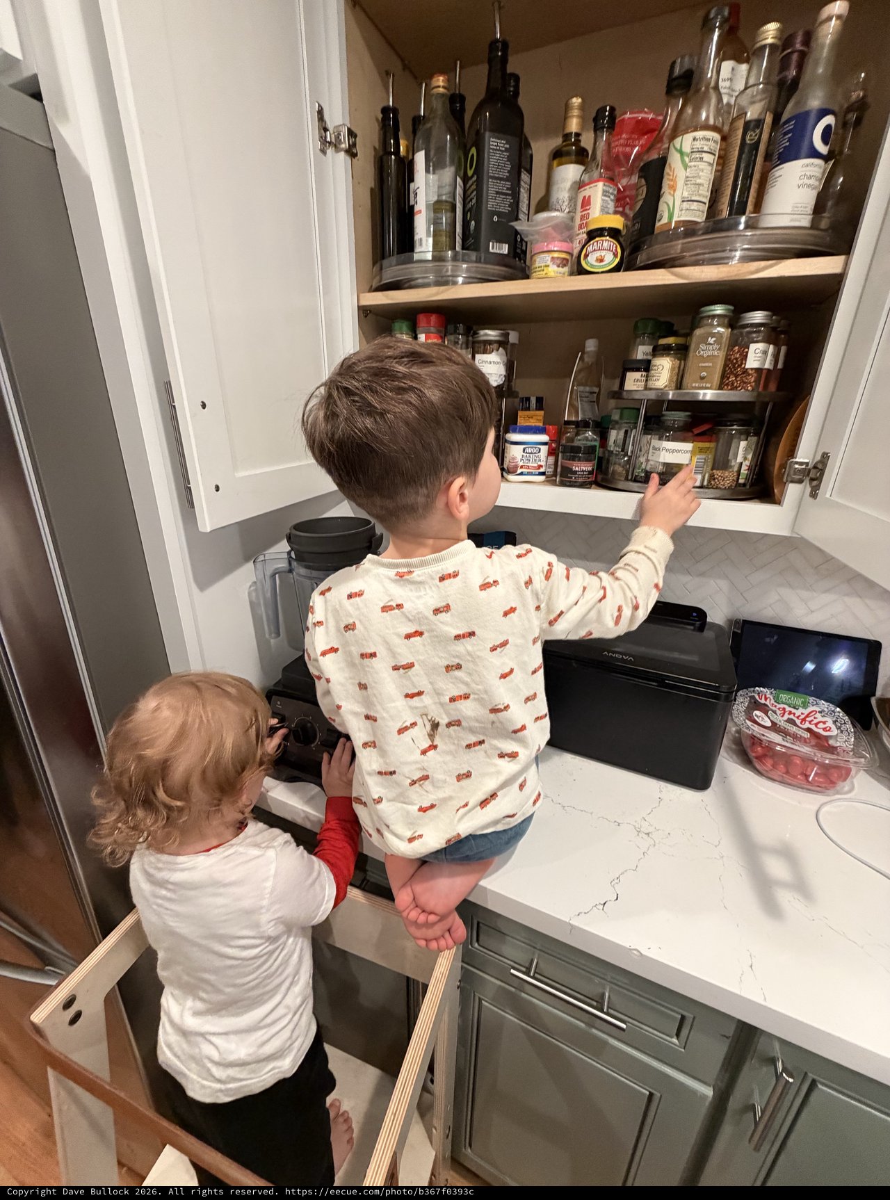 Young Brothers Exploring Kitchen Cabinet Together