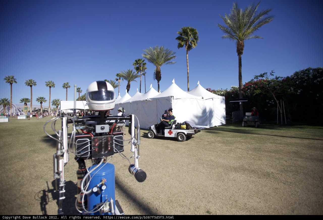 Robot Camping alongside the Palm Trees
