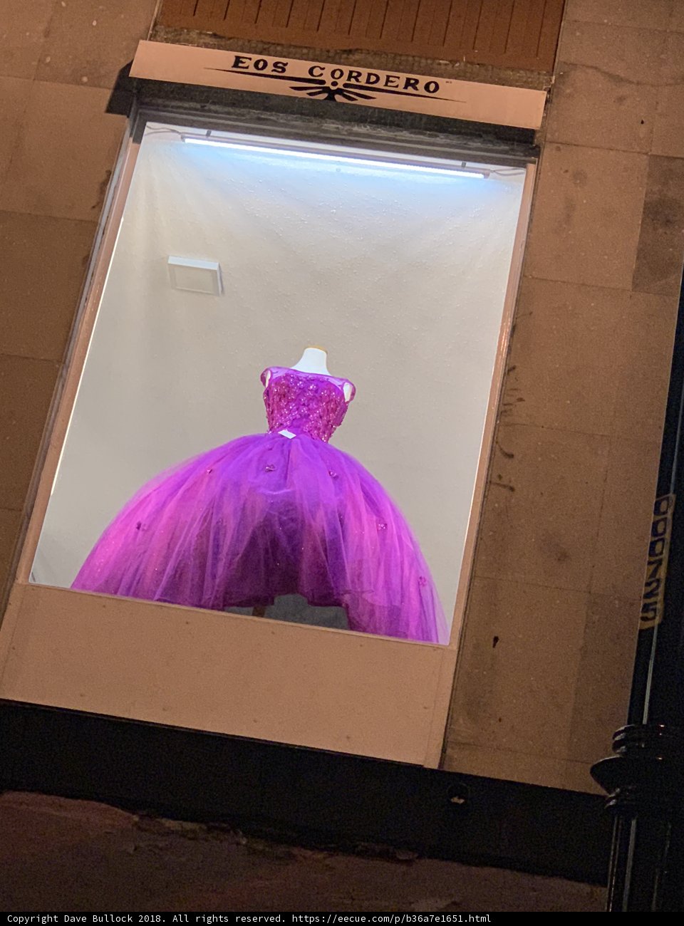 Glamorous Evening Gown Display