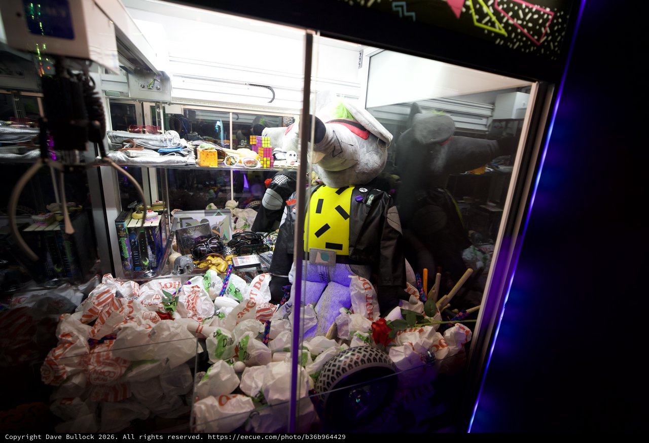 Quirky Shark Figure Guards Cluttered RV Interior