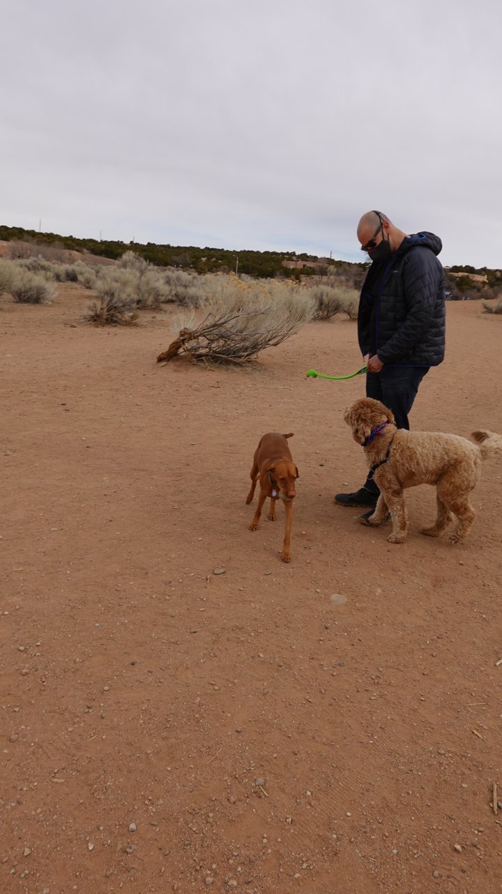 Man and his Canine Companions in the Desert