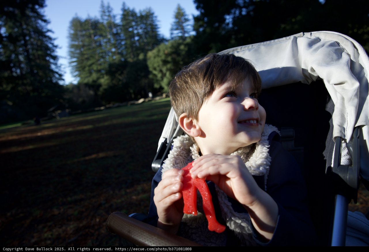 Enchanted Moments at Thistlewyck