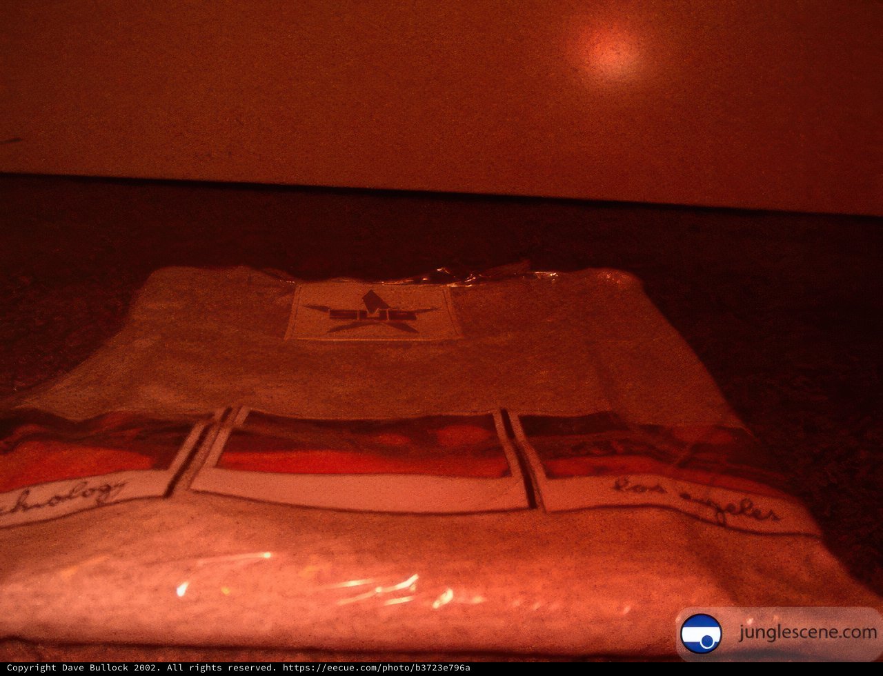 Dark Room Tee