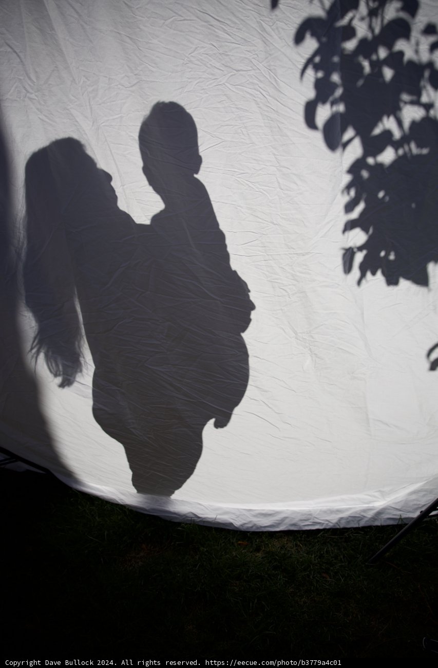 Silhouettes of Expectation