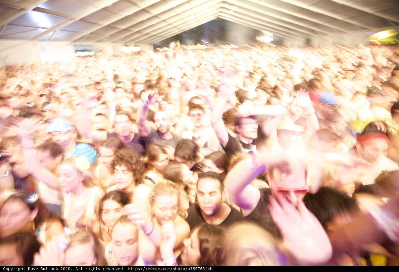 Coachella Concert-goers Blend into a Sea of Energy