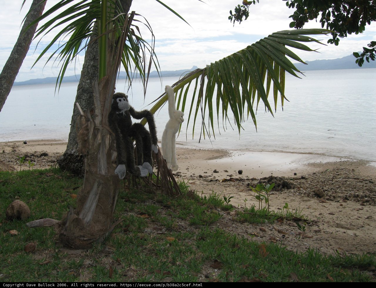 Tree Monkey