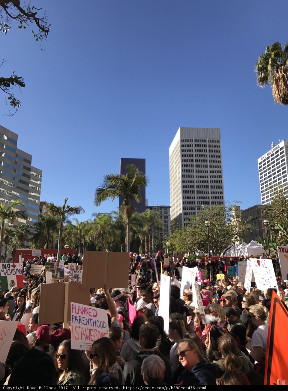 Protesters Gather in Downtown LA