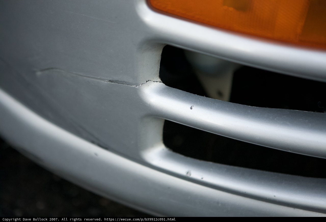 Silver Beauty's Flawless Bumper