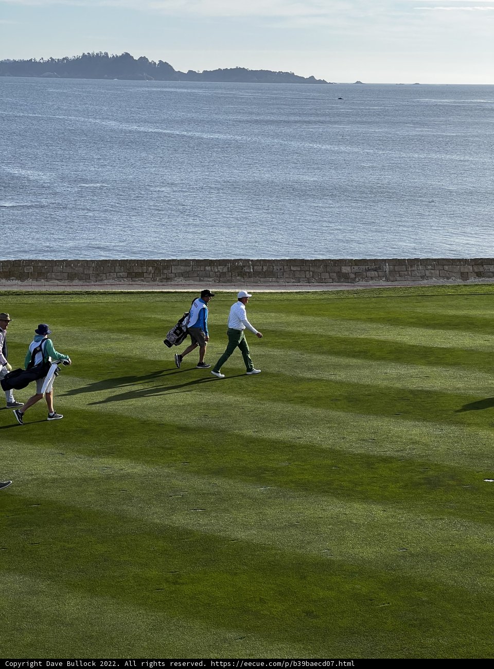 Tee Time with Friends