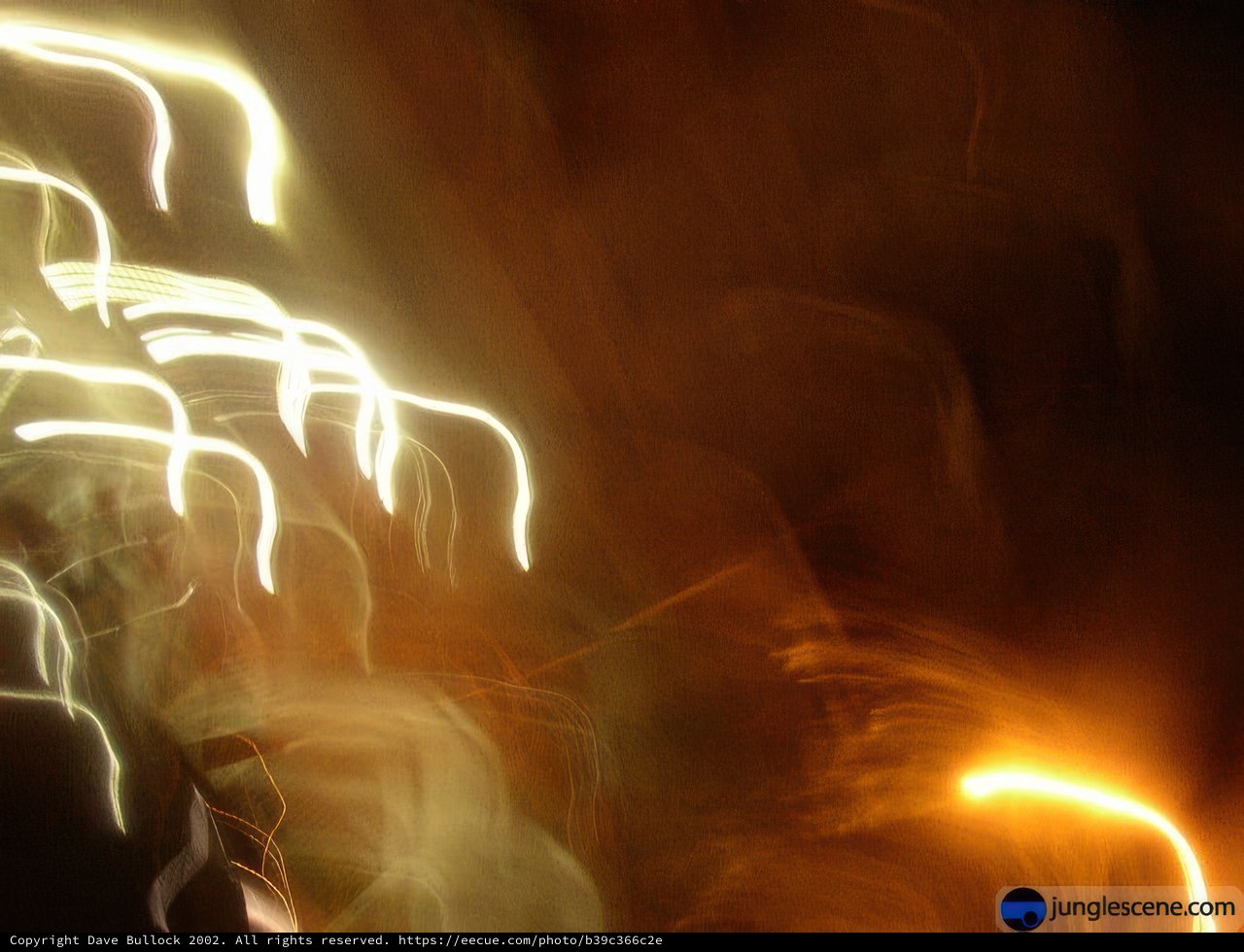 Dazzling Fireworks Show