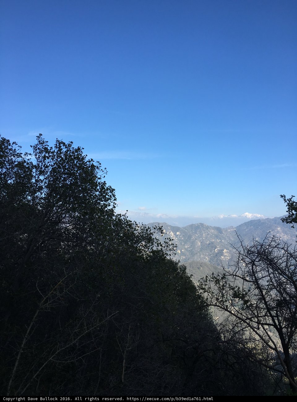 Majestic Mountain View