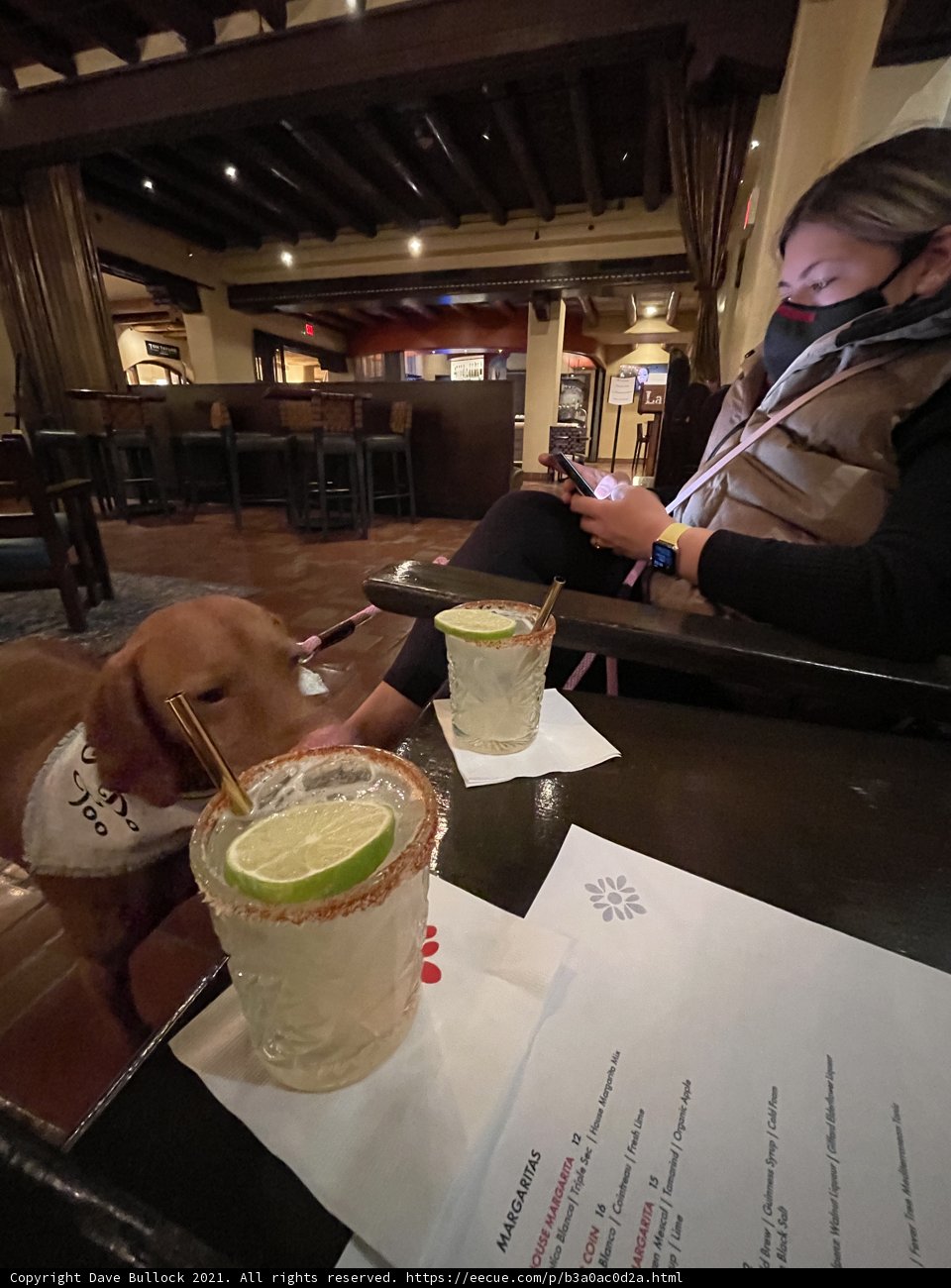 Canine Margarita Date