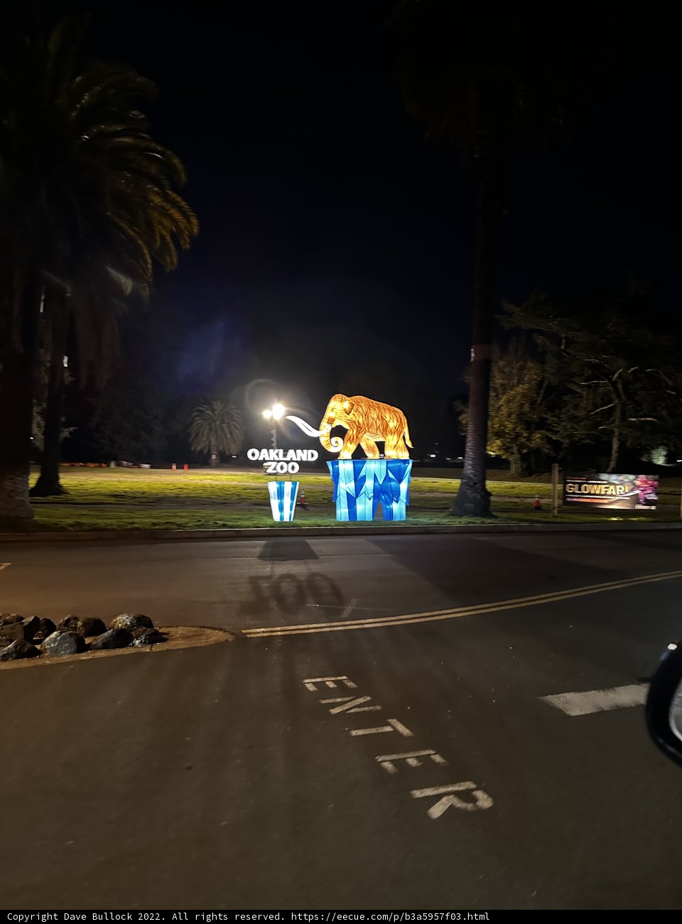 Illuminated Bear Statue Lighting Up the Night