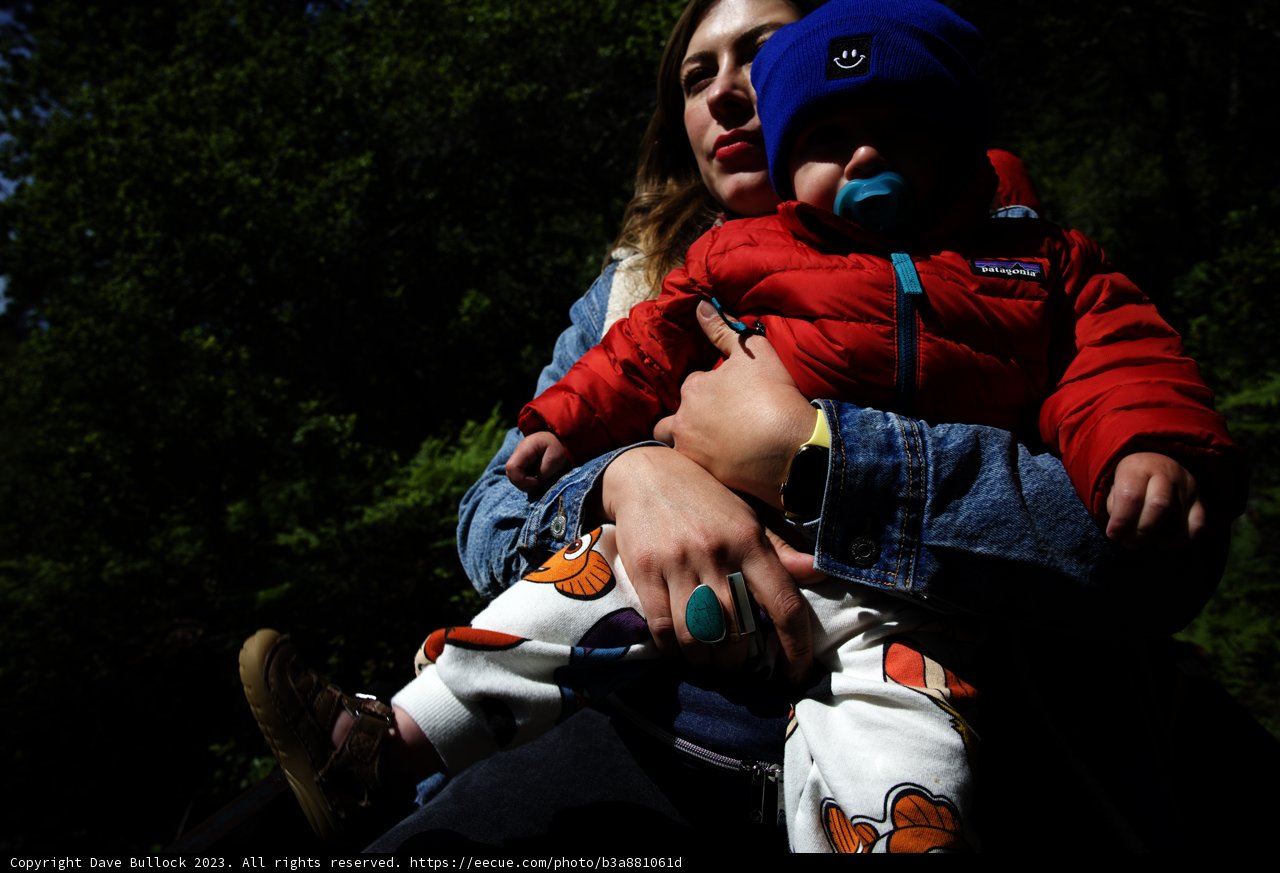 Cherished Moments at Tilden Park