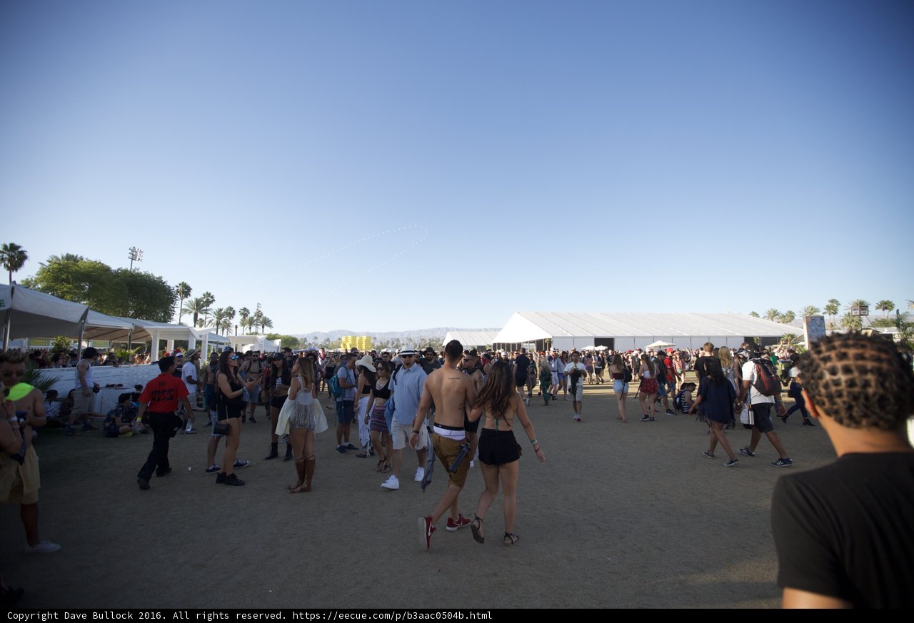 Desert Festival Walkabout