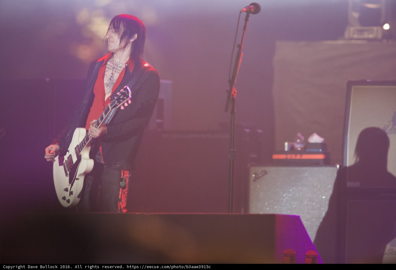 Strumming to the Crowd