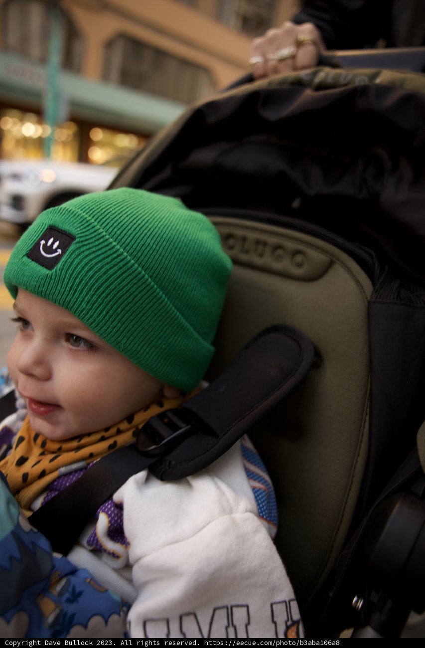 Wesley's Green Adventure