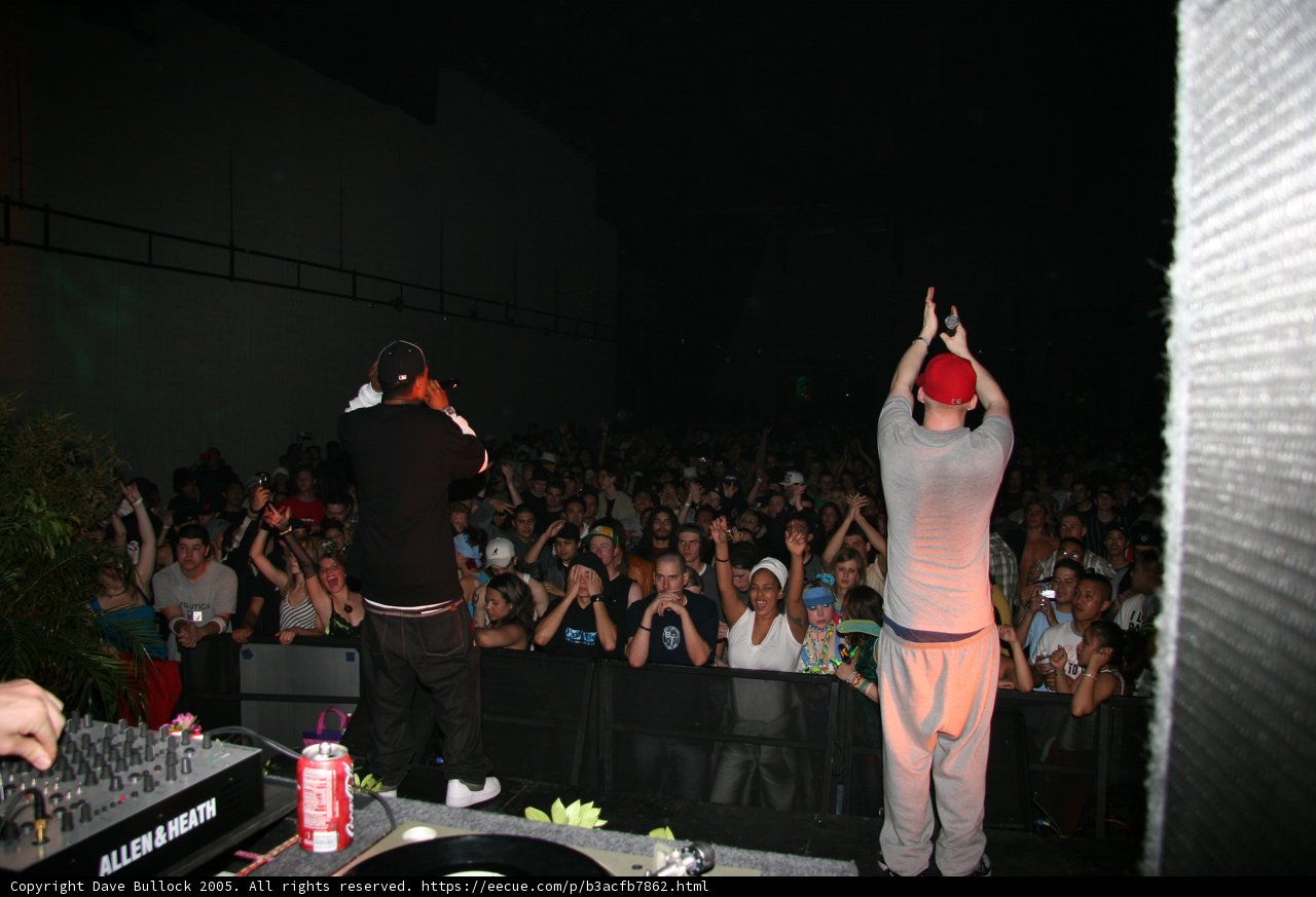 Crowd Goes Wild as Entertainers Take the Stage