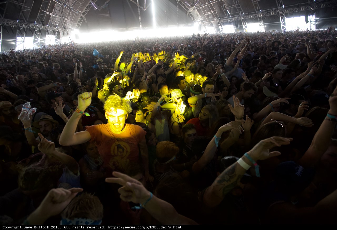 Yellow Lights and Concert Crowds