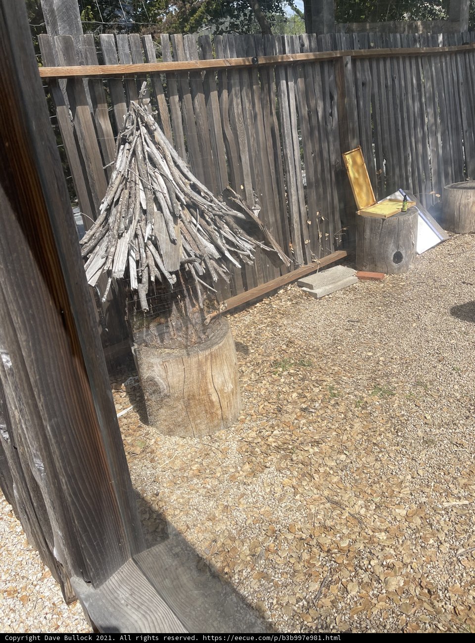The Wooden Fence Oasis
