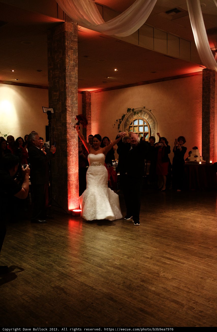 Wedding Bliss on the Dance Floor