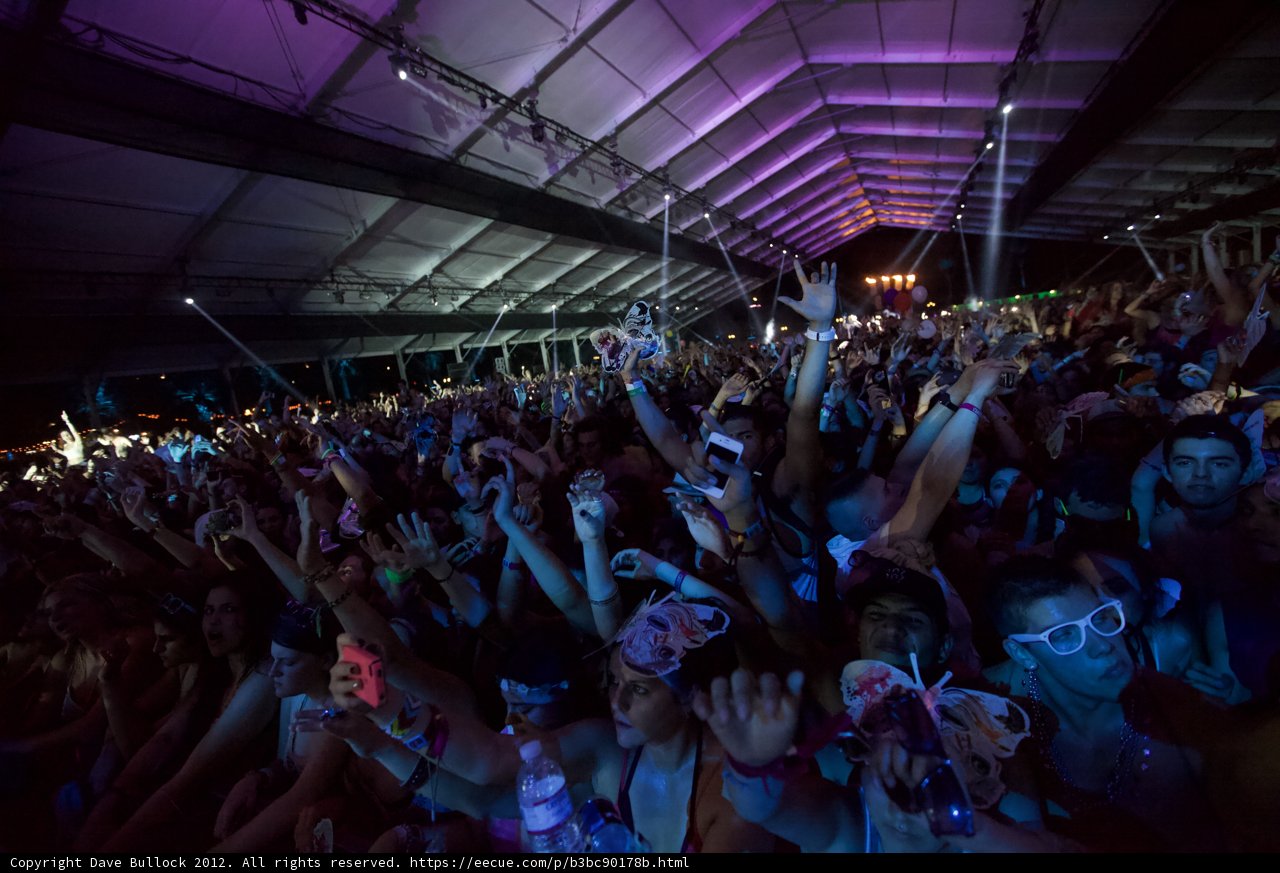 Midnight Revelry at Coachella
