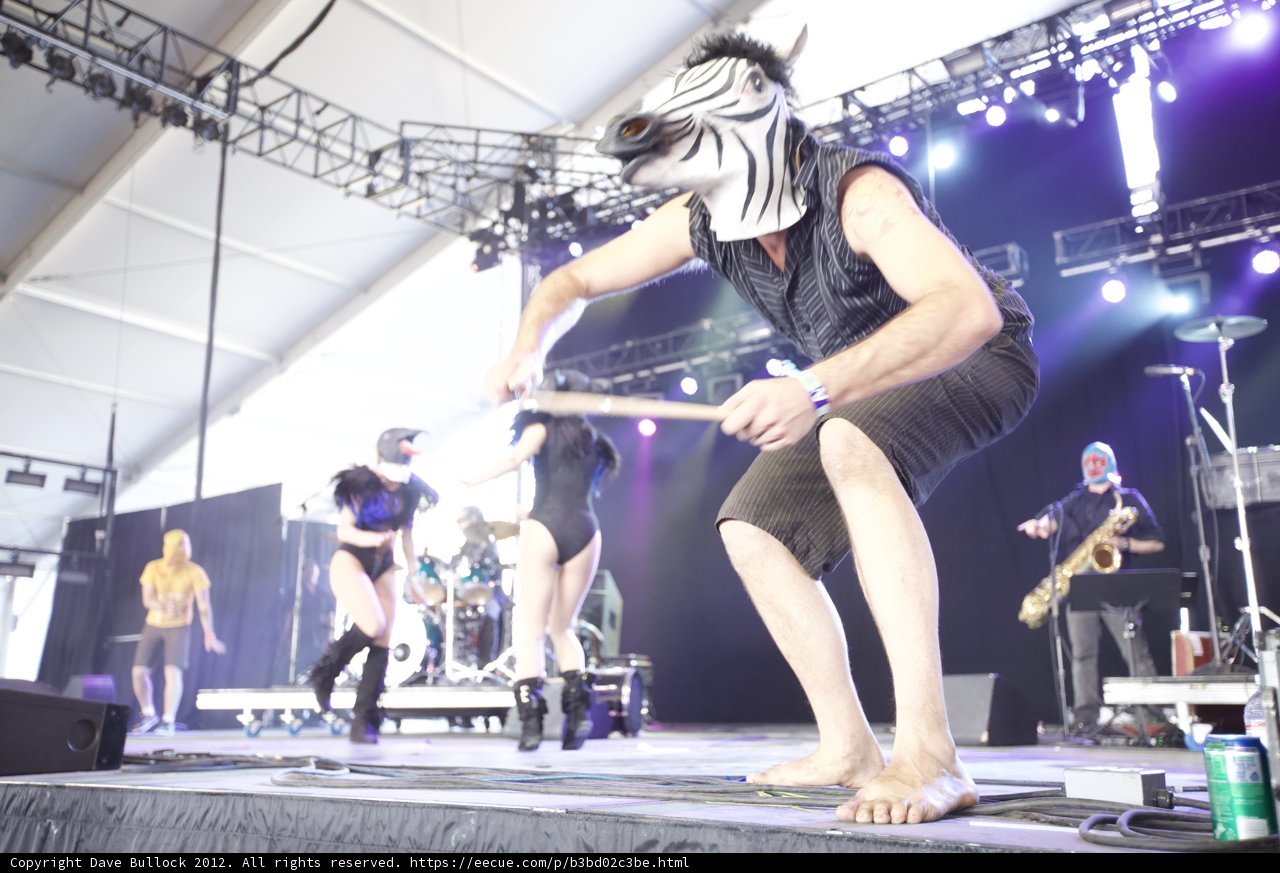 Zebra-masked Drummer Takes Center Stage