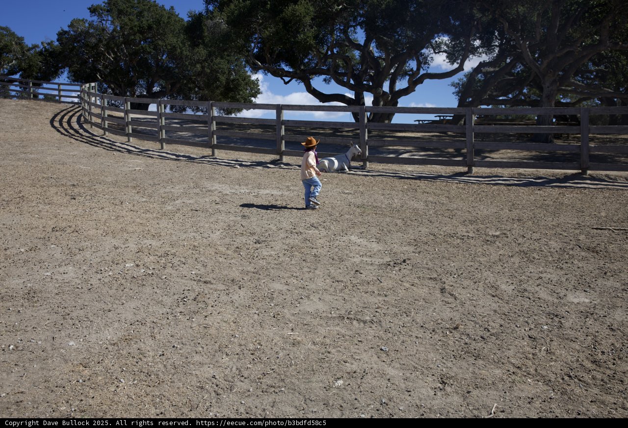 A Stroll in the Ranch