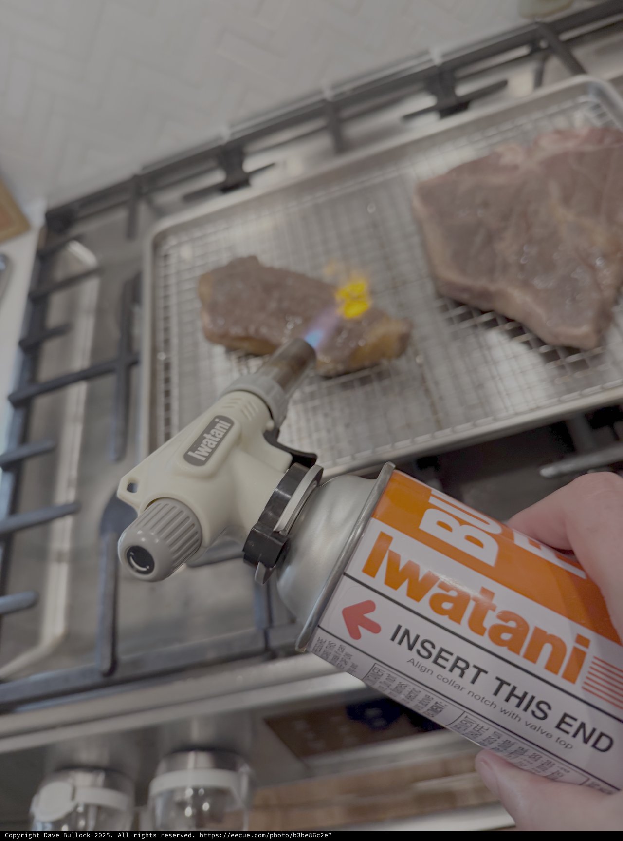 Preparing Barbecue with Iwatani Butane Torch