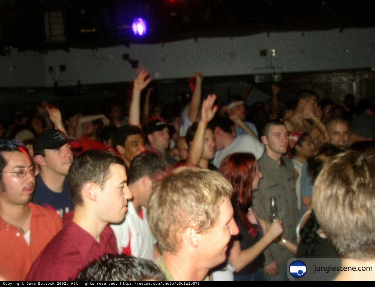 Partygoers Get Pumped