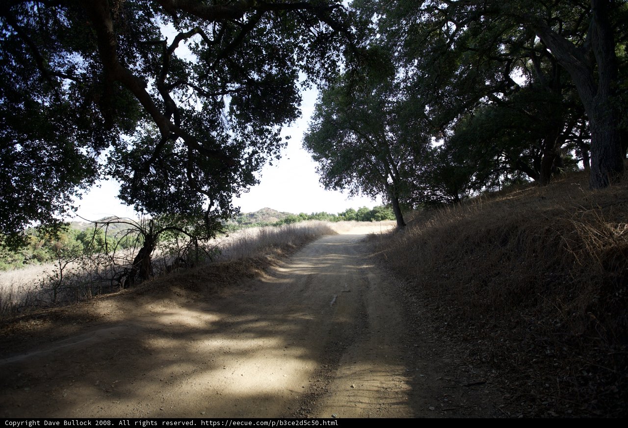 Dirt Road Pathway
