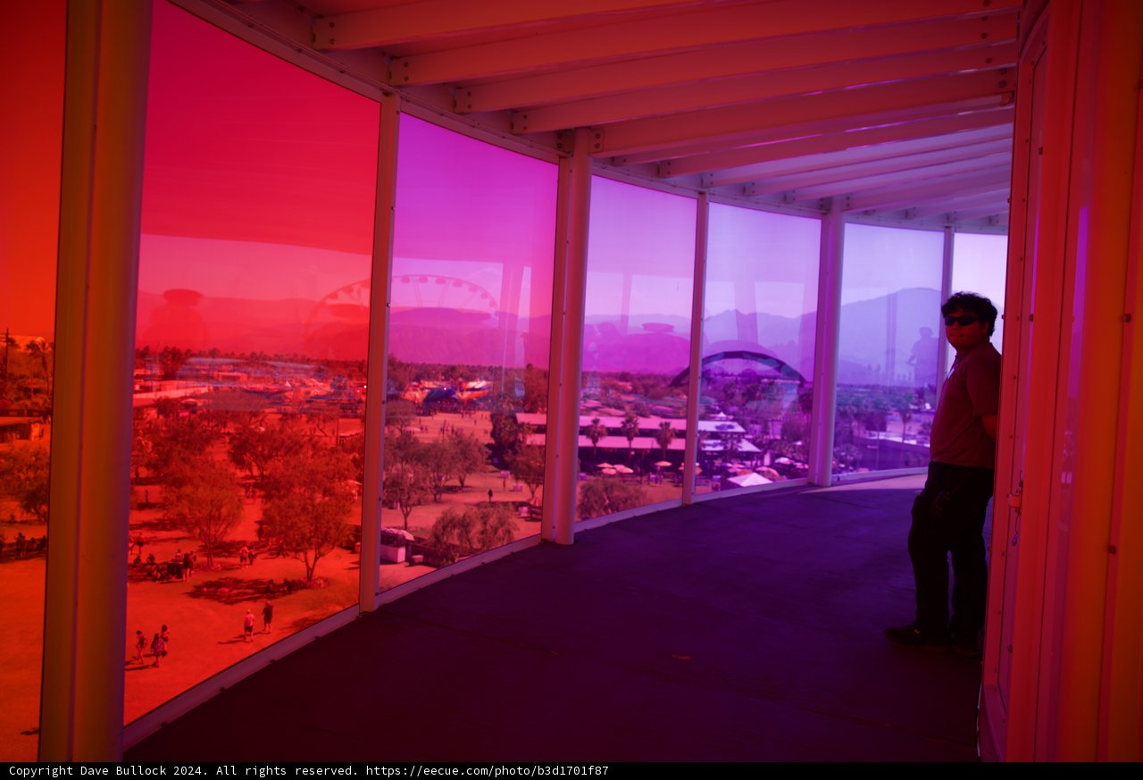 Coachella Colors: A Vivid Perspective