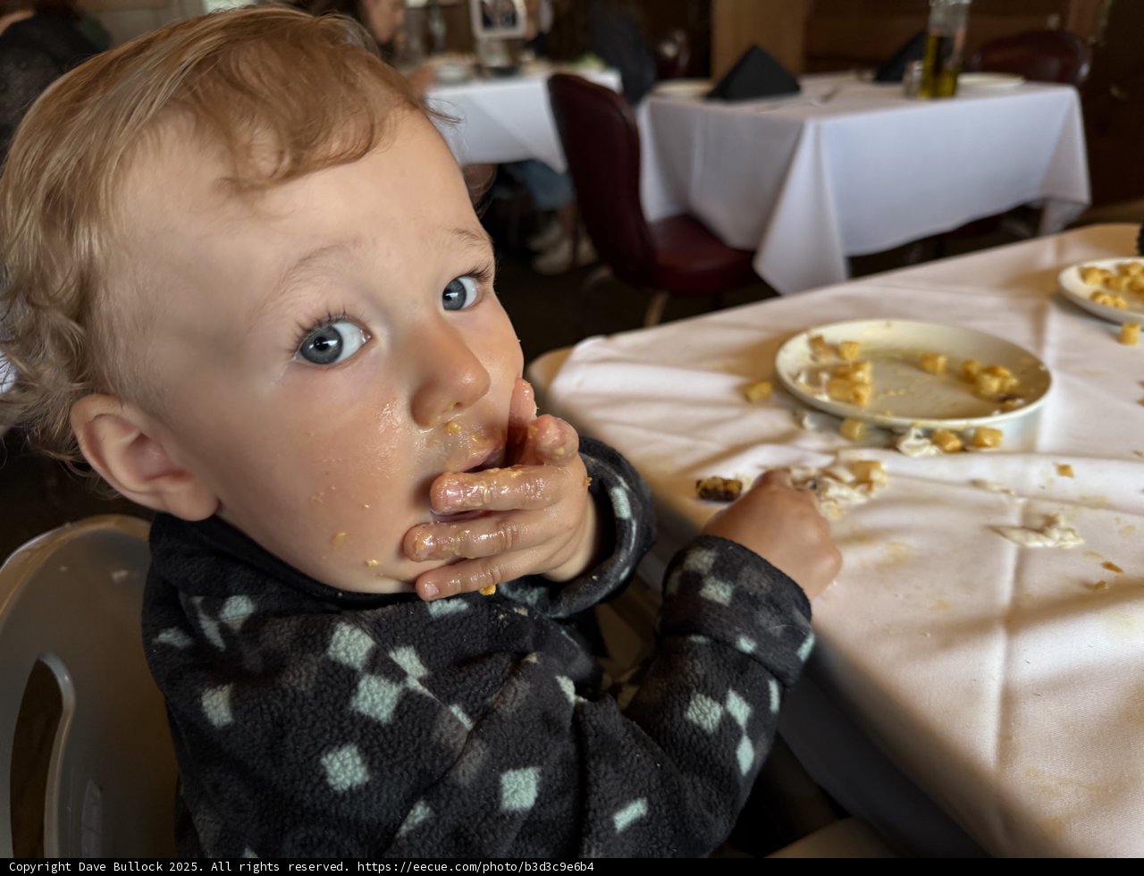 First Bites of Joy