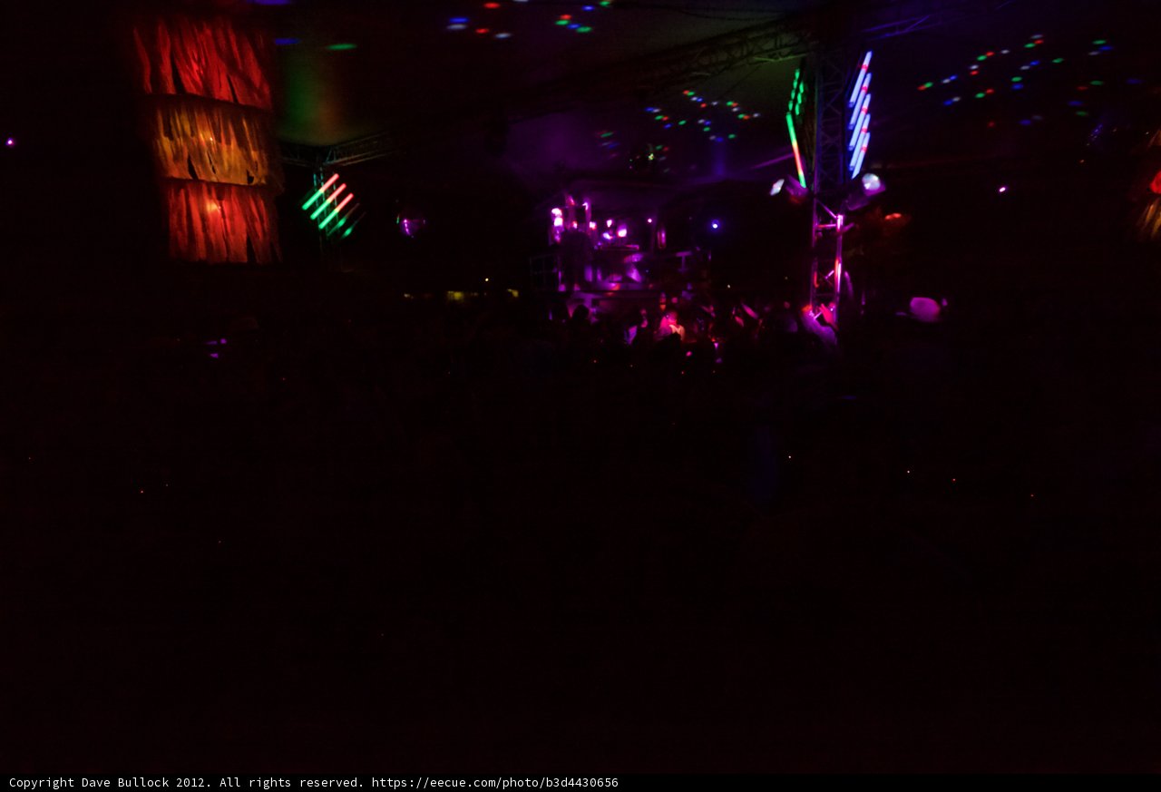 Neon Nightlife