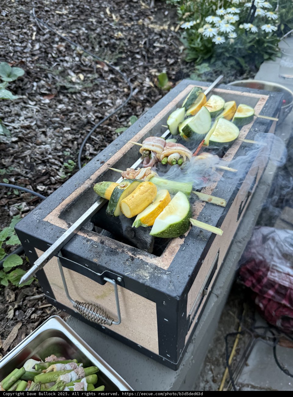 Sizzling Summer Skewers