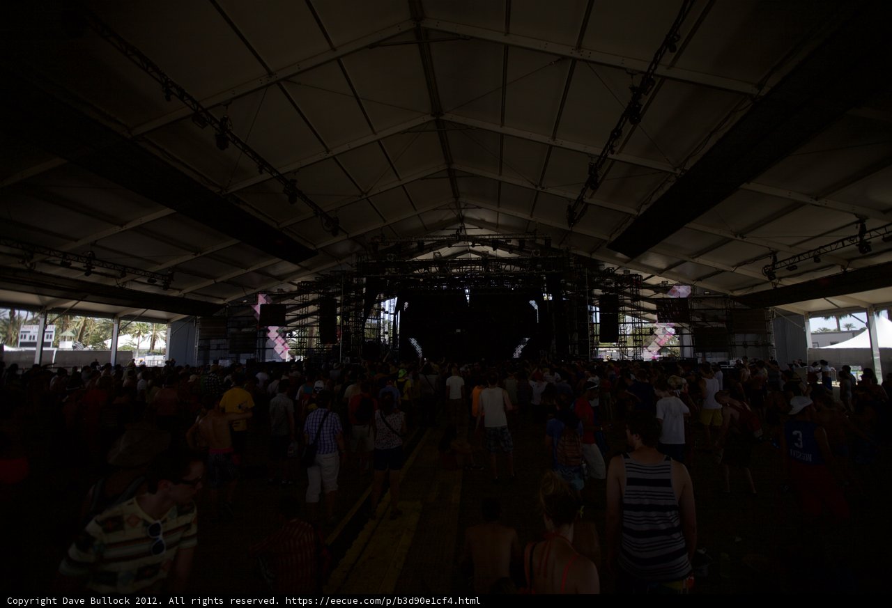 A Sea of Dancing Bodies at Coachella Music Festival