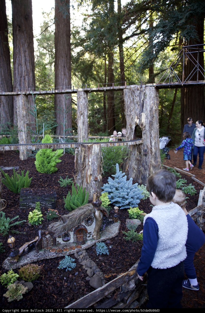 Enchanted Discoveries at Filoli