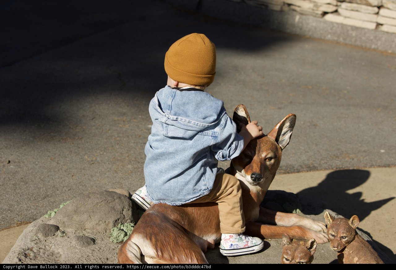 A Childhood Adventure at the Zoo