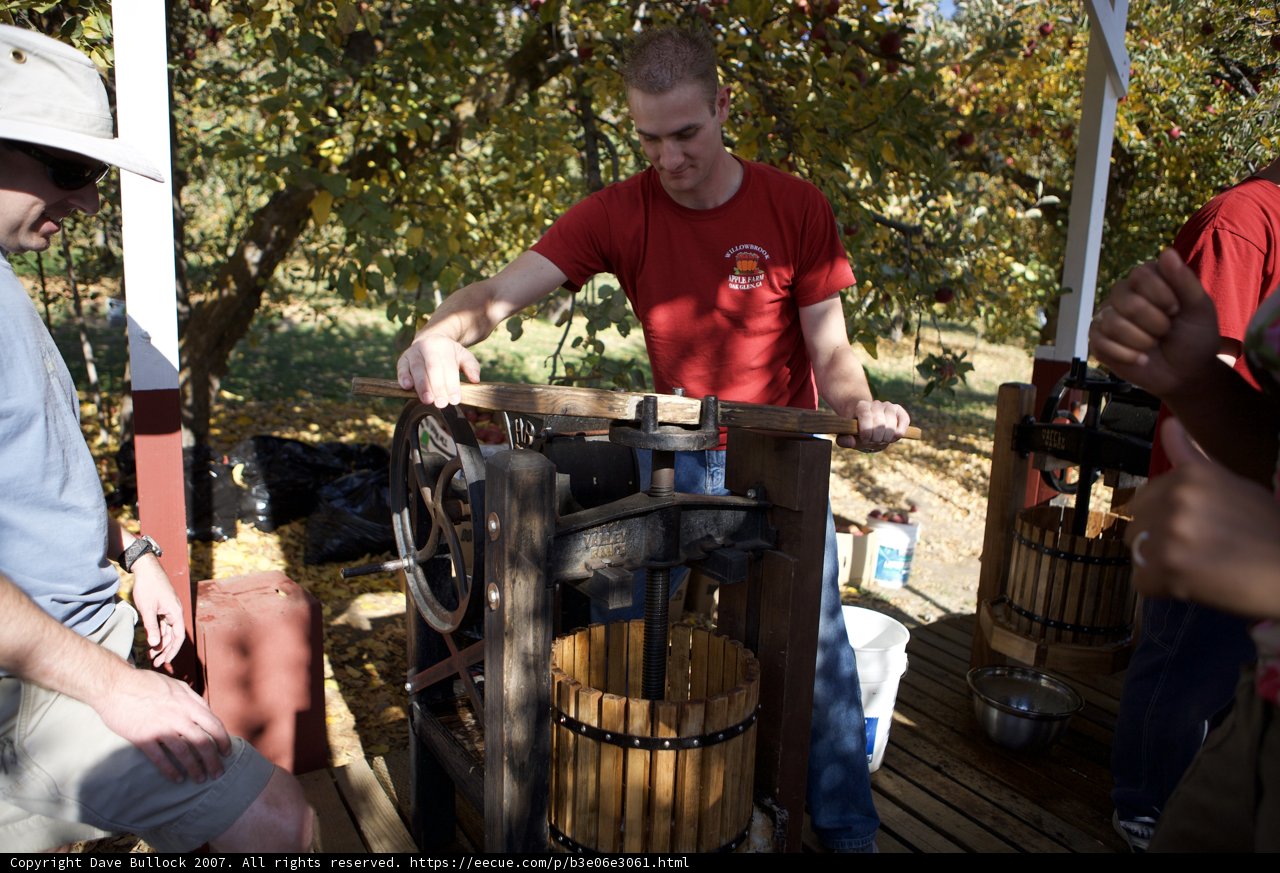 Red Shirt Man at UA Apple Farm