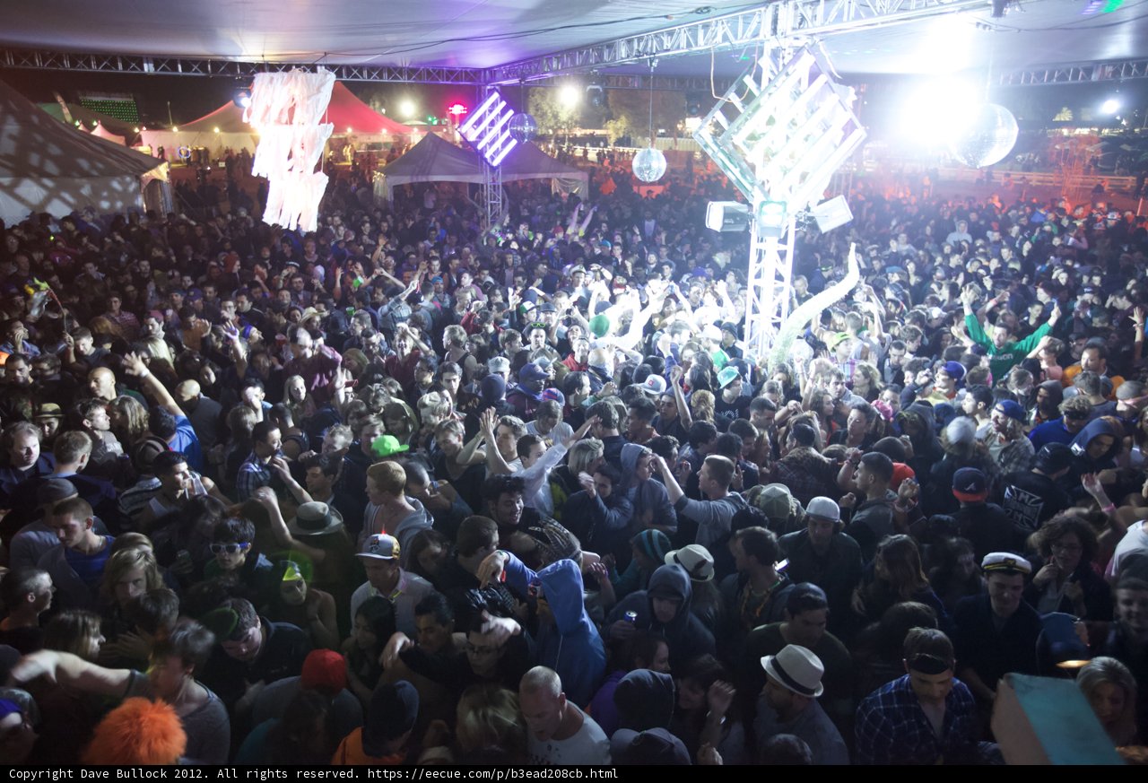 Electric Crowd at Coachella 2012