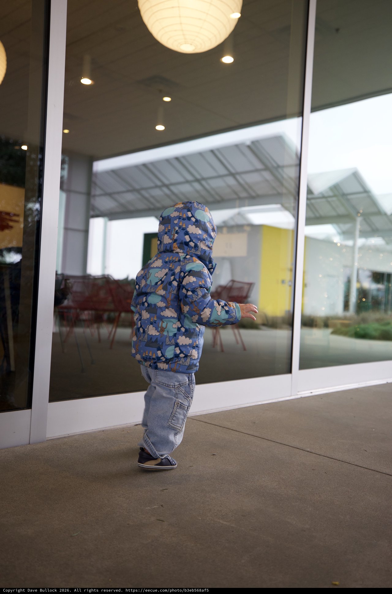 Toddler in Floral Jacket Peering Through Glass Door