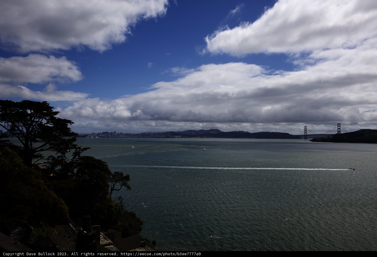 Tranquil Sailing Adventure in Tiburon