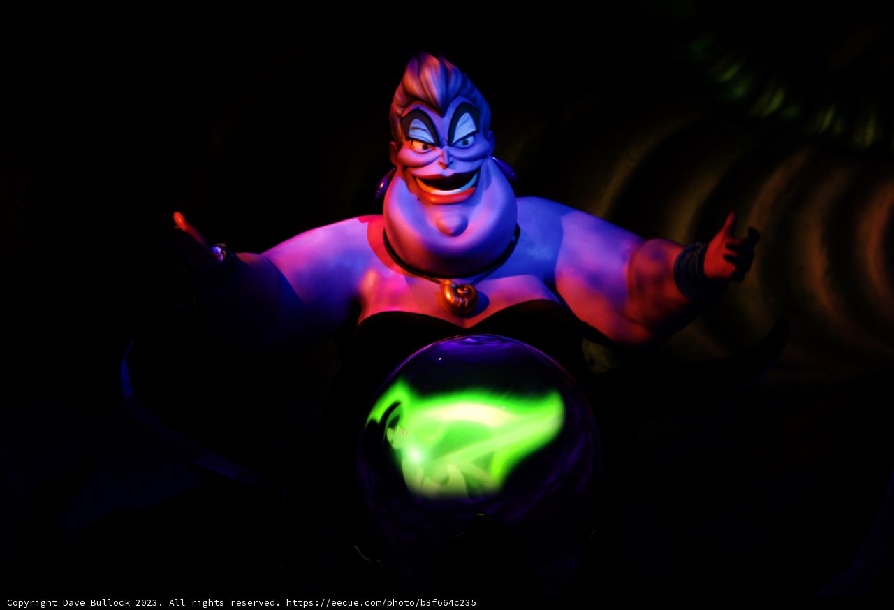Mysterious Glow in the Enchanted Dark