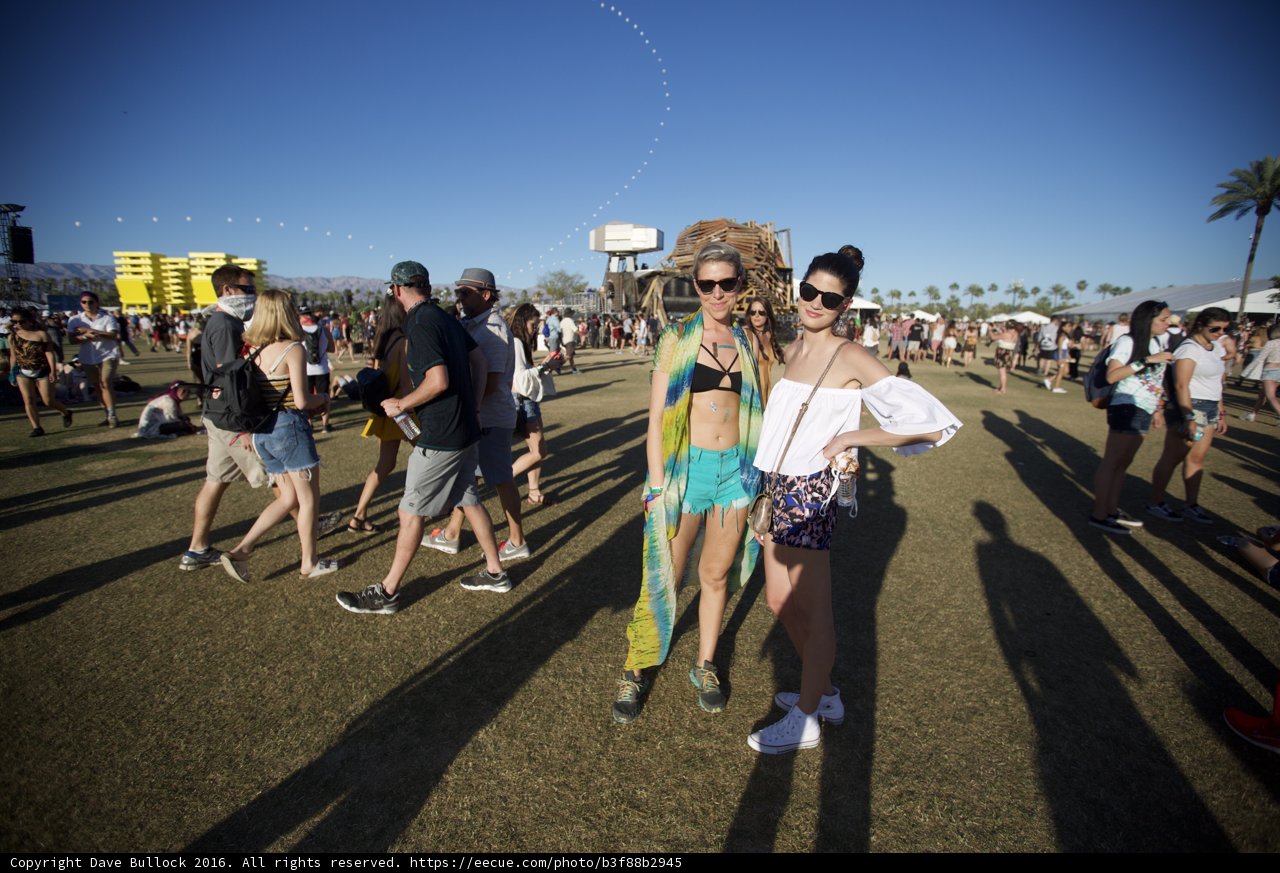 Grass and Sun at Coachella