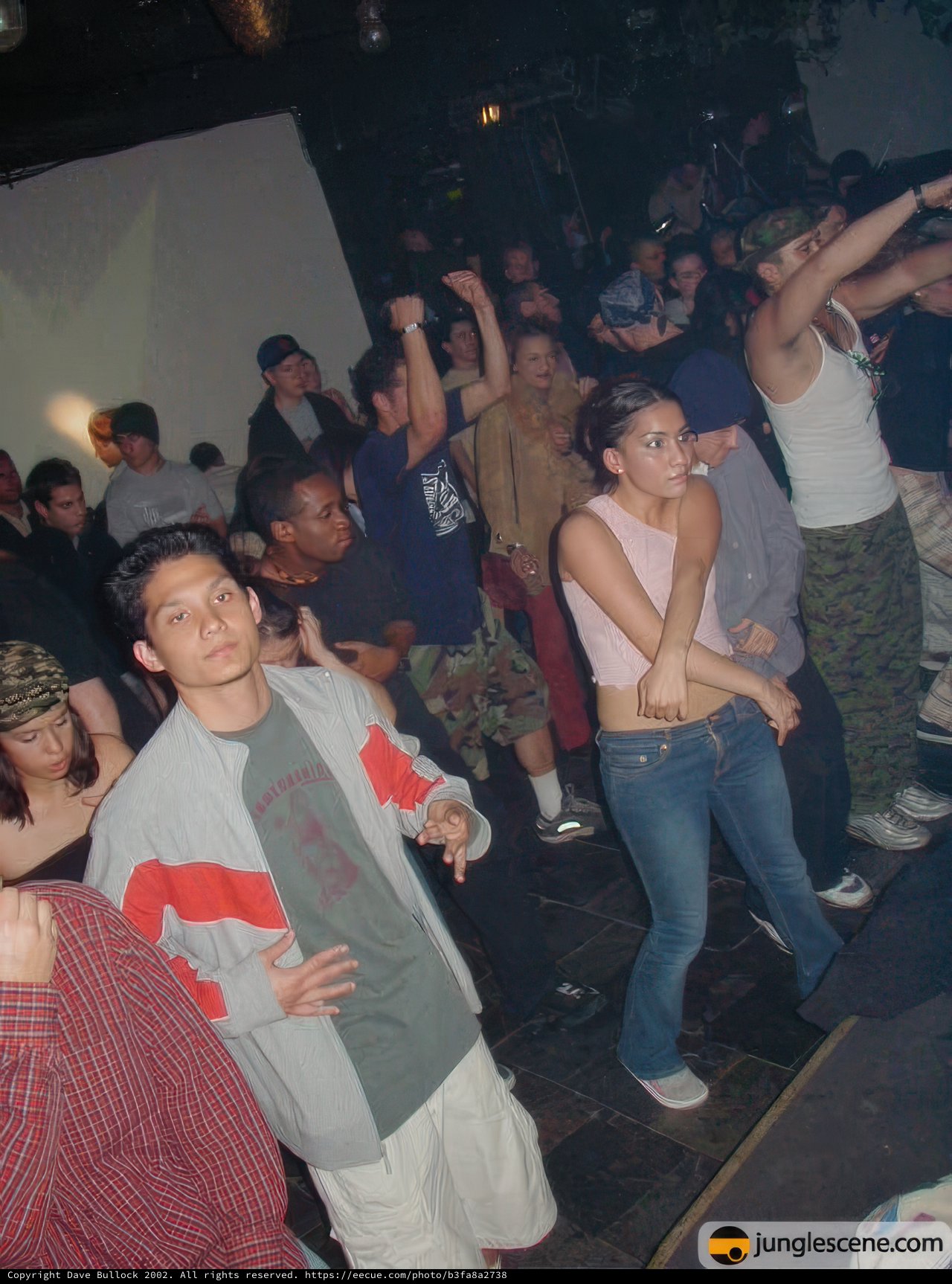 Nightclub Partygoers