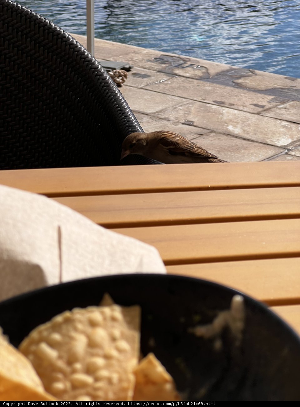 The Simple Pleasures of Maui Life