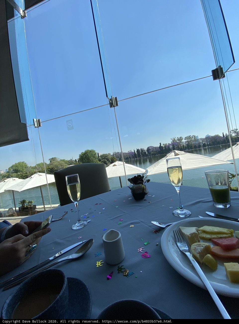 A Relaxing Brunch in Chapultepec Park